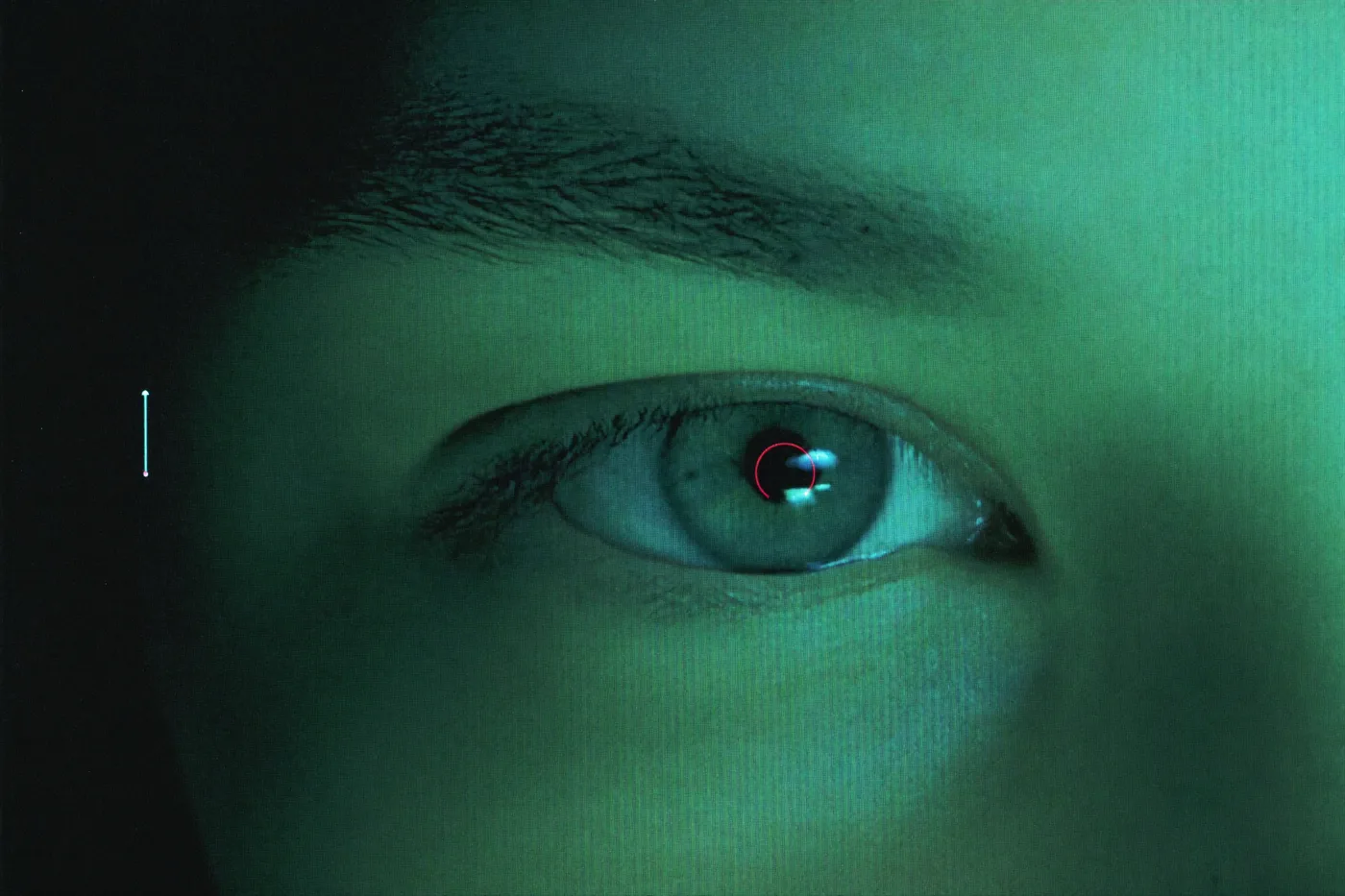 A close-up of an eye being tracked by software